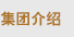 氮?dú)獍l(fā)生車(chē)